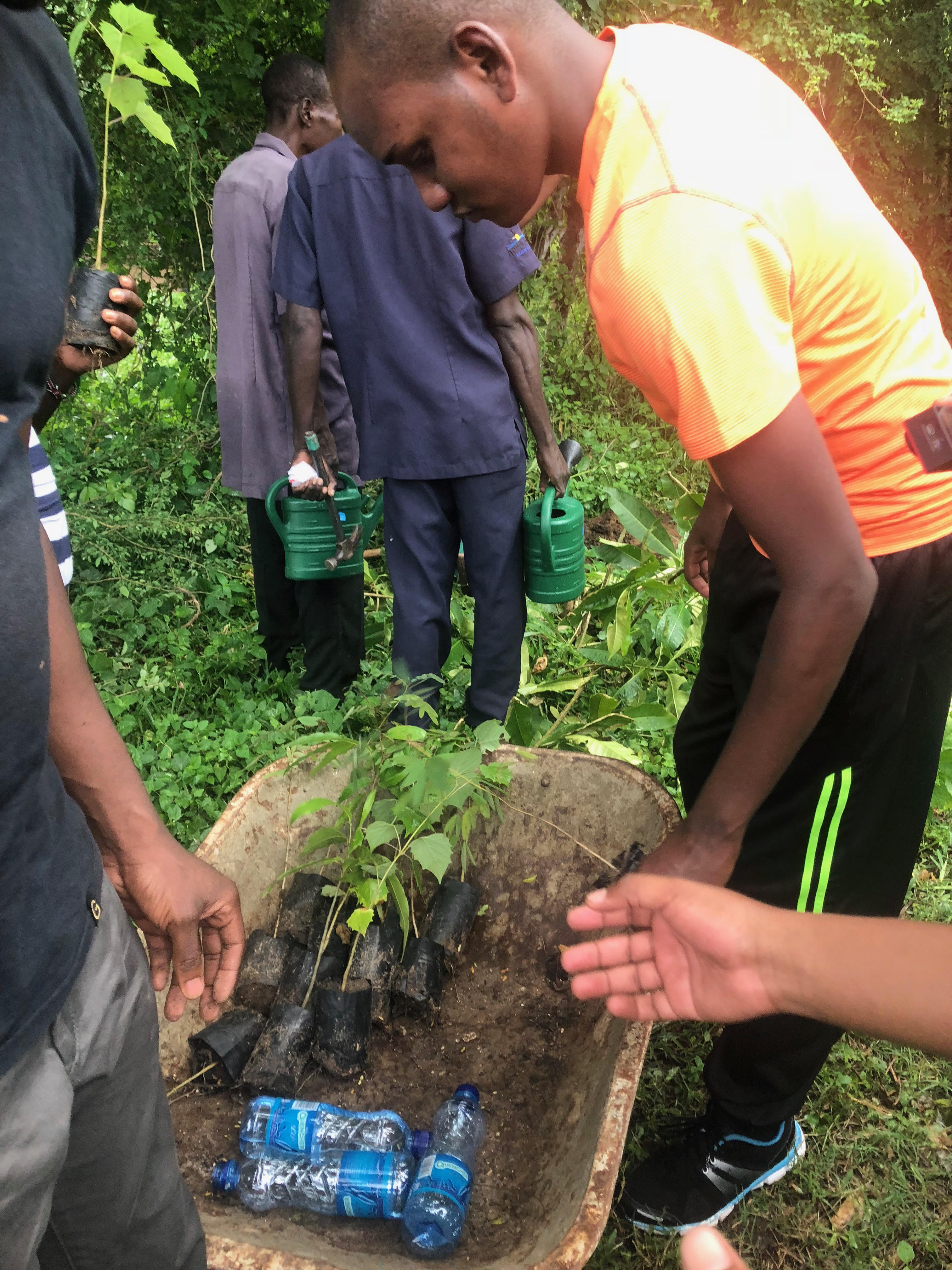 The Competition Authority of Kenya (CAK) tree planting exercise in Kwale – June 2018.